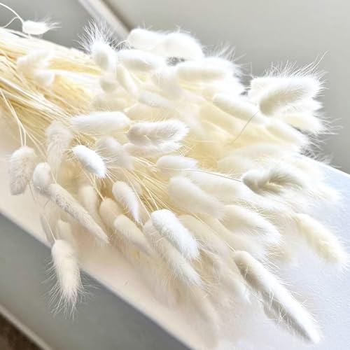 120PCS Dried Bunny Tails Flowers Lagurus Bunny Tails Pampas Grass Decor White Dried Pampas Grass Decor for Flower Arrangements Boho Wedding Bouquets Home Decor Garden Decor
