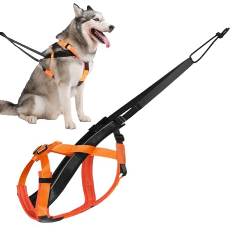 Hundegeschirr, reflektierend, für große Hunde (50-70 cm), verstellbare Zugleine für Training, Spaziergänge, Sport, Outdoor-Aktivitäten