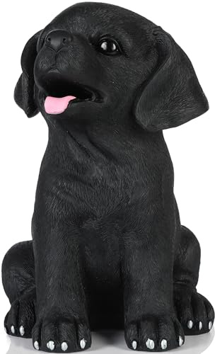 H&W svart labrador hundmynt sparbössa, okrossbar hund spargris | Kreativ sparbössa, kan lagra 1 000 mynt, bästa födelsedag gåva (WK34-D3)