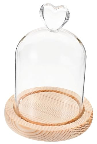 KITANDOVE Getrocknete Blumen Display Glas Kuppel Holz Basis Tragbare Handwerk Abdeckung