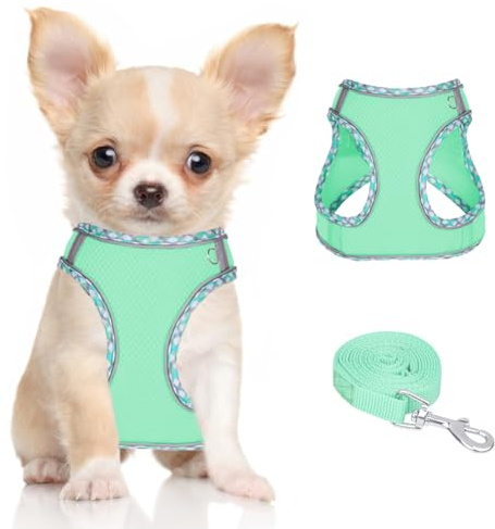 DoggieKit Hundegeschirr mit Leine für Kleine mittelgroße Hunde Gepolstert | Geschirr, reflektierendes, verstellbares, Atmungsaktives Mesh, leichtes, weiches, no-pull, für extra kleine mittelgroße Hunde