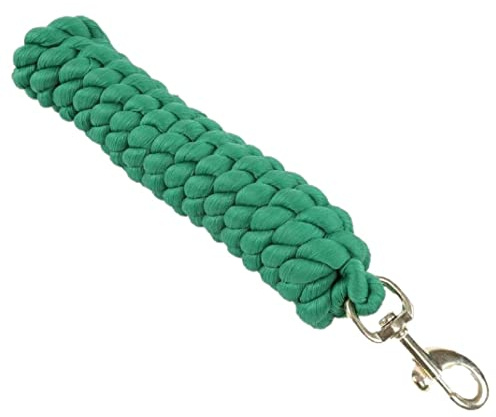Shires Pferd Führstick Extra Lang (Einheitsgröße) (Grün)