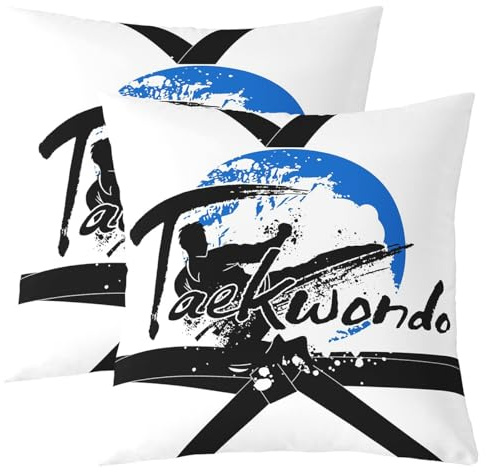 Castle Fairy Gift for Boys Throw Pillow Covers,Taekwondo Kung Fu Black Belt Cushion Covers 18x18 for Boys Teens,Japanese Sport Pillowcases for Car RV,Kids Teens Pillow Covers,Set of 2