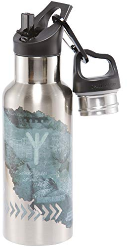 Carl Oscar schwedische Design doppelwandige Thermosflasche - Isolierflasche hält mehrere Stunden warm oder kalt. 0,5 Liter. Kommt mit 2 Kappen, eine mit Strohhalm. grau