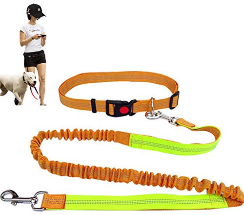 PJDDP Hundeleine Handfreie Hundegürtel,Elastische Und Reflektierende Hundeleine Zum Freihändigen Joggen,Walken, Spazieren Oder Radfahren,Sport Laufgürtel Leine Für Große, Mittlere Und Kleine Hunde,E