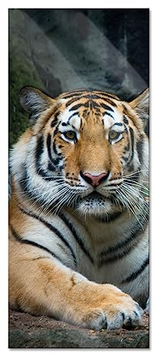 Pixxprint Glasbild Panorama, Wandbild aus Echtglas, Liegender Tiger, 120x50 cm, inkl. Aufhängung und Abstandshalter
