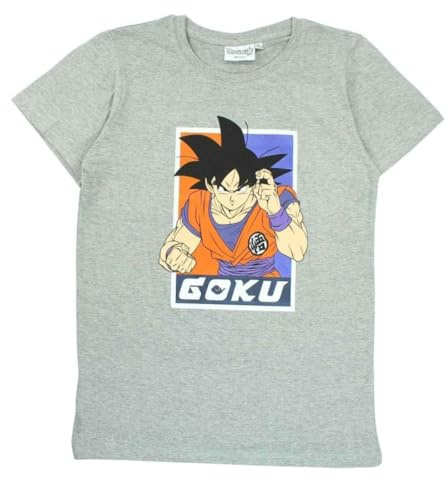 arlis T-Shirts à Manches Courtes Dragon Ball Z - Garçon Coton Débardeur Dragon Ball Z (FR/ES, Âge, Taille Unique, Taille Normale, 10(XXS), Gris-B)
