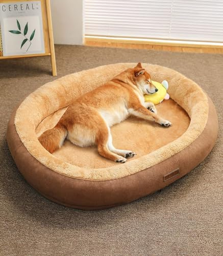 LINGXIYA Plüsch Hundematratze, Orthopädisches Hundebett, Memory Foam Hundebett, Donut Kuscheliges Hundekorb, Hundekörbchen Abnehmbar und Waschbar, für Fensterbank, Sofa, Boden, Auto, 50 * 40cm