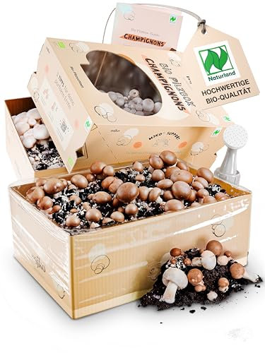 Mjko® BIO Champignon Pilze züchten Set M – Komplettes Pilzzuchtset für Zuhause, frische Champignons selber züchten, Perfekt für Anfänger & Profis, Pilzbrut für braune & weiße Champignons, 2 Boxen