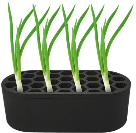 syayw Semenzaio Per Cipolle Verdi, Kit per Coltivare Cipollotti, Idroponico Rigenerante per Giardinaggio Indoor e Coltivazione Domestica