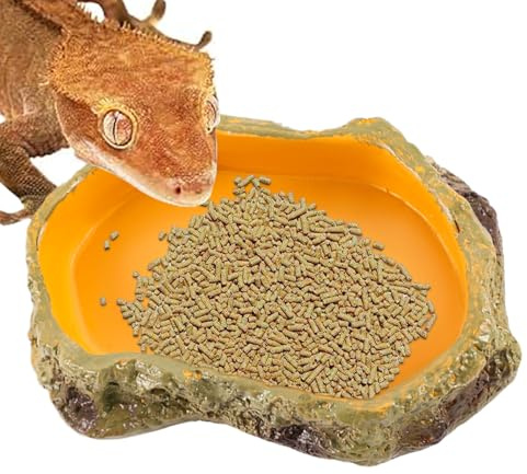 Reptilvattenskål, Reptilvattenskål Säker multifunktionell matskål för | Reptil Tank för smådjur matar terrariumskålar, vattendekoration i terrarium, tankbricka