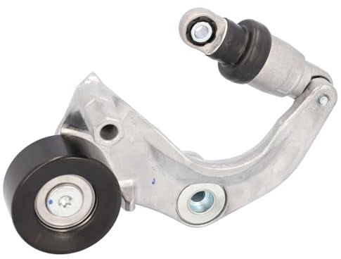 FEBI BILSTEIN Tendicinghia, Cinghia Poly-V 186259 | Compatibile con: HONDA CIVIC IX, CIVIC X Stufenheck, CR-V IV