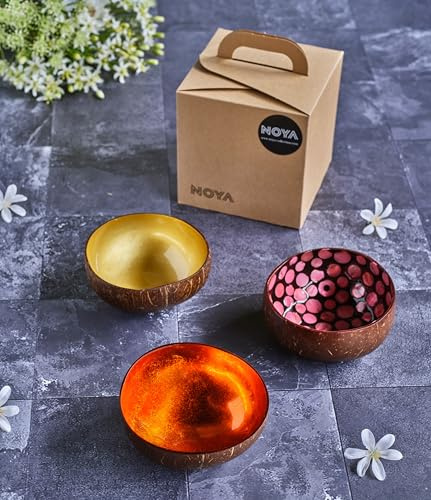 Noya Juego de 3 cuencos de coco de colores surtidos, D14 Cm