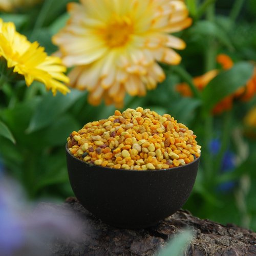 1kg Pollen de fleurs hautement actif d'origine espagnole,