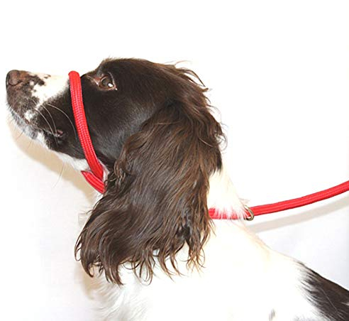 Dog & Field 8 Anti -Pull- Blei/Halter/Kopf Kragen (RED) - Einheitsgröße - Super Soft geflochtenes Nylon - Montageanleitung inklusive