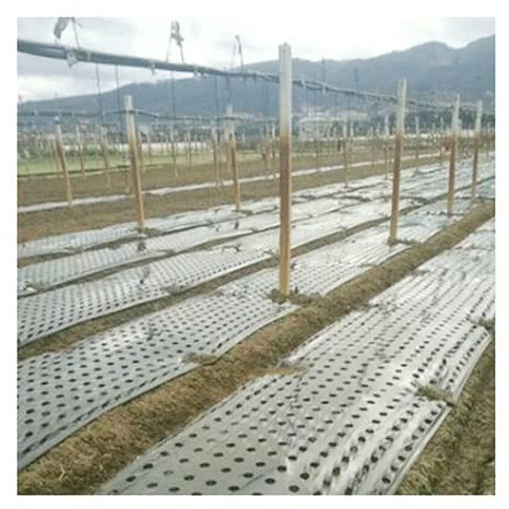 EVANEM 0,95 × 10 M, 5 Löcher, 0,02 Mm, Schwarze Mulchfolie Mit Löchern, Mulchfolien, for Gartenpflanzen, Perforierte PE-Folie Aus Kunststoff for Mulchen
