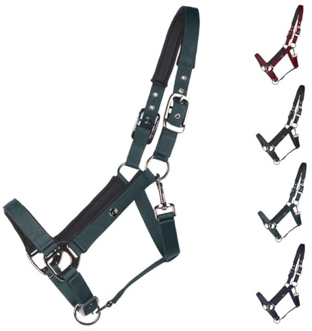 NETPROSHOP Deluxe Halfter gepolstert an Kopfstück, Backen- und Nasenriemen 2-Fach verstellbar Pony Cob Full XLFull, Groesse:XL Full, Farbe:Dunkelgruen