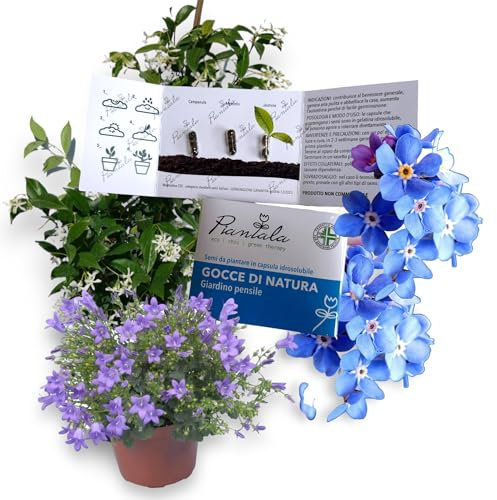 KIT SEMI PIANTABILI in BLISTER da 3 capsule (GIARDINO PENSILE: campanula, non ti scordar di me, gelsomino)