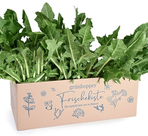 Frischekiste Löwenzahn 3 kg grünhopper Frischebox
