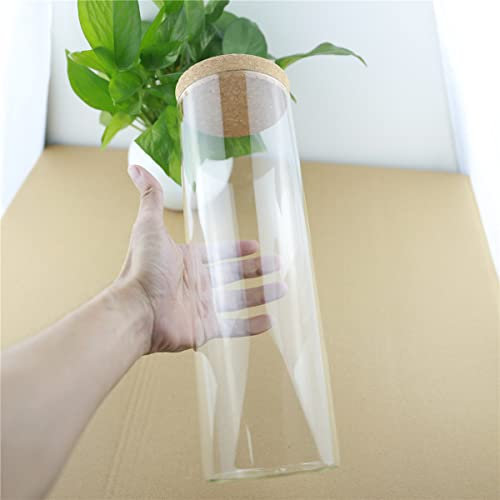 STORKY 2 unids/lote 100 * 300mm 2L corcho almacenamiento de cocina botella de vidrio grande tarro de comida contenedor transparente vacío especias nueces tarros de almacenamiento