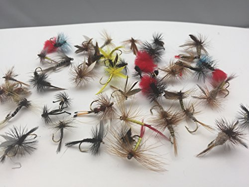 Fliegenfischen Trockenfliegen Auswahl mehr als 50 Fliegen für Forellen mit kostenloser Clipverschluss-Box #322