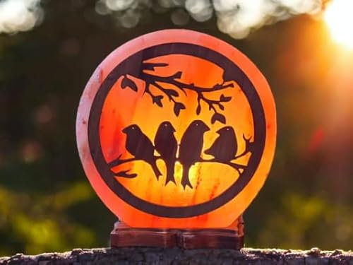 Saltbay Lampe de sel Himalaya 3D Oiseaux Taille L avec variateur de lumière