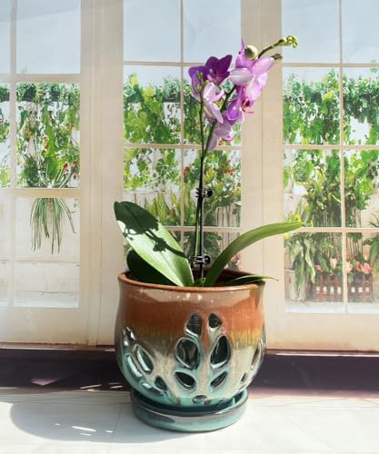 Fowargif Macetas redondas grandes de cerámica para orquídeas de 6.5 pulgadas con agujeros, maceta con platillo para plantas de interior, decoración del hogar, maceta redonda, maceta de aire