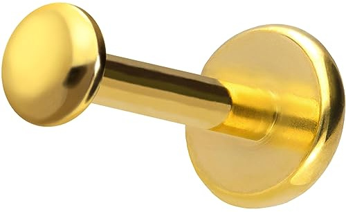 PIERCINGLINE Titan Labret mit Push Fit DISC Piercing Ohr Helix Tragus Conch Goldfarben 1,2x5x2,5 mm