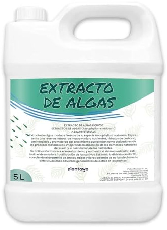 Plantawa Extracto de Algas Marinas Líquido 5 Litros | 100% Natural, Potenciador, Enraizante y Micorrizas.