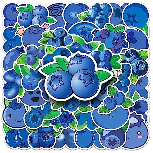Blueberry Stickers 50PCS for Teens Girls Adults Kids,Cute Aesthetic Fruit Waterproof Decals for Laptop Water Bottle Luggage Computer Phone Guitar Skateboard Scrapbook Cups Journal Bicycle Helmet