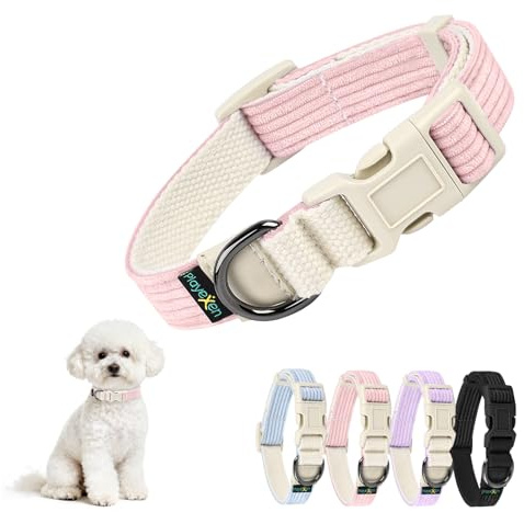 Collare per Cani Gatti Collari Regolabile 25-40 cm in Morbido Velluto a Coste con Cotone per Gatto&Cane Taglia Piccola Media Grande Accessori Collare per Cuccioli Animali di Piccola Large 2,0cm Rosa
