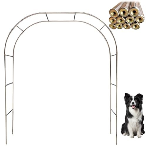Arche de jardin en acier inoxydable pour plantes grimpantes extérieur et intérieur arche de mariage 230/240 cm treillis extérieur pour roses arche métallique élégante pour décoration de jardin