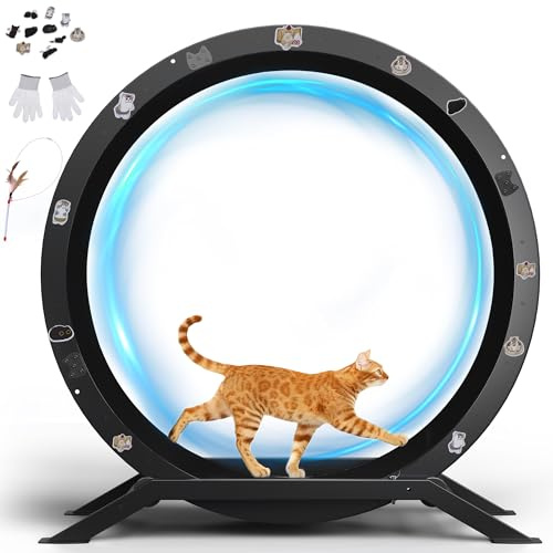 GTPLAYER Katthjul, träningshjul för katt, XL - 100 cm, ultratyst med avtagbar matta, klistermärken, låssystem, metall, mörkblå, present till din katt