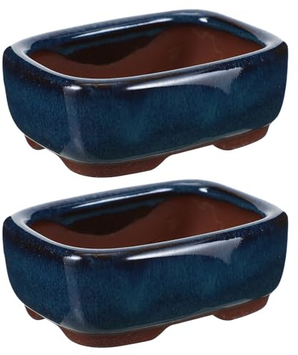 GANAZONO Maceta de Cerámica para Suculentas y Helechos Mini Maceta Rectangular Esquinas Redondeadas 2 Piezas para Escritorio Balcón y Jardín Interior