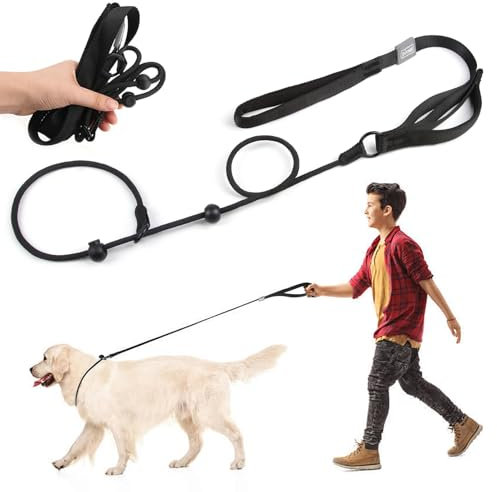 Slip Lead for Dogs, Dog Leashes with Anti-Pull Strong Adjustable Nylon Comfy Handle, Thin Dog Lead Strong Sturdy Anti-Choking Nylon Training Rope for Puppy Small Medium Large Dogs Outdoor