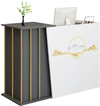 GAOXIAO Comptoir Accueil Professionnel, Comptoir de Réception pour Vente au Détail, Banque D'accuei avec Tiroir Verrouillable pour Caisse Hall Salon de Beauté et Bureau A 120 cm