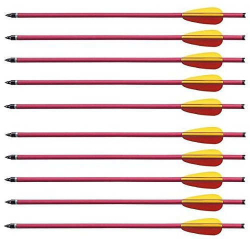 G8DS 10 Aluminium Pfeile 16'' Armbrust-Pfeil Armbrust-Bolzen