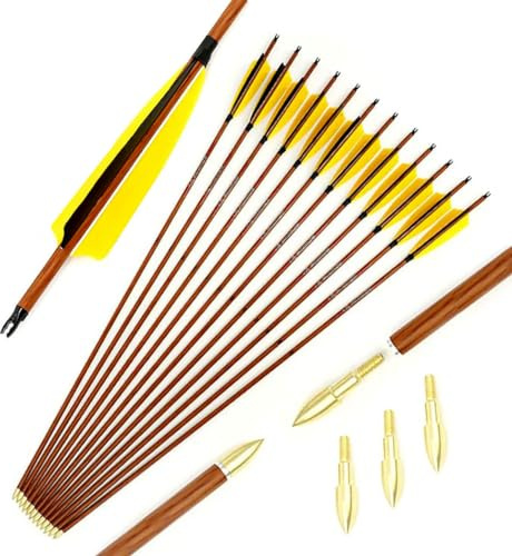 ACCMOS 12Stück Jagdpfeil ID 6,2 mm Spine 600 Holzähnlich Pure-Carbon-Pfeile für Komposit-Bogen Recurve-Bogen Bogenschießen (Spine 600, 29inch)