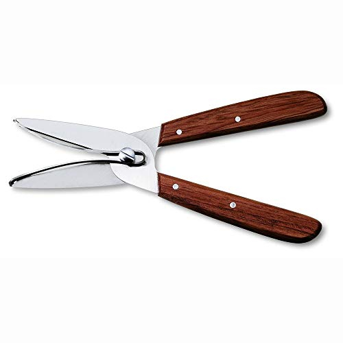 Victorinox ciseaux pour la cueillette des baies et les raisins, inox
