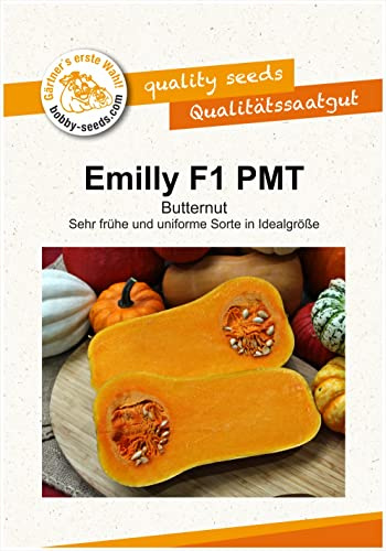 Kürbissamen Emilly F1 Portion