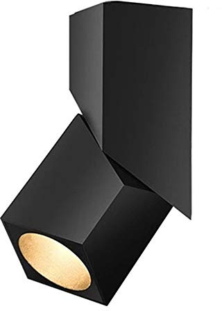 Yodaba LED Indoor Ceiling Spotlight 360°Adjustable Wall Light - Art DIY Spotlights -12W Warm White Light 3000K Ceiling Downlight -Surface Mounted COB Lighting Swivel lamp (Black-3000K)