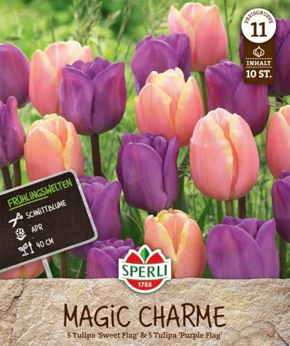 Sperli 464160 Tulpe Magic Charme & Magic Lavender (14 Stück) (Herbstblumenzwiebeln)