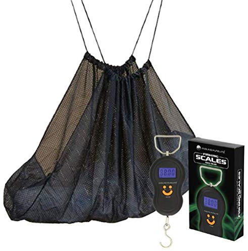 Pêche à la carpe avec balance numérique pour pêche à la carpe