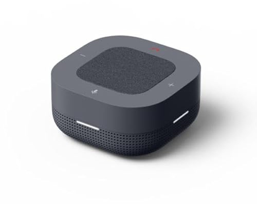 Google Meet Orion Speakermic