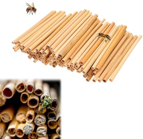 Noaxylic Etwa 300 Stück Nisthülsen für Wildbienen, 20 cm Länge Nisthülsen | Nisthilfe für Bienen, für Wildbienenhotel, für Bienen, Schmetterlinge und Andere Insekten