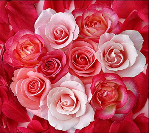 Red Rose White Rose Petals Modern Bathroom Custom 3D Floor Mural Non-Slip Waterproof Thickened self-Adhesive flooring-350 * 245cm