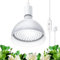 Barrina Grow Light Bulb with Timing and Hanging System, 25W led Lamp Full Spectrum, 4H/9H/14H Timer, led Grow Lights for Indoor Plants for Seedlings Succulents Cactus Growing, Blooming, Fruiting