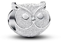 Pandora Moments 794525C00 Mini breloque en Forme de Chouette texturée en Argent Sterling