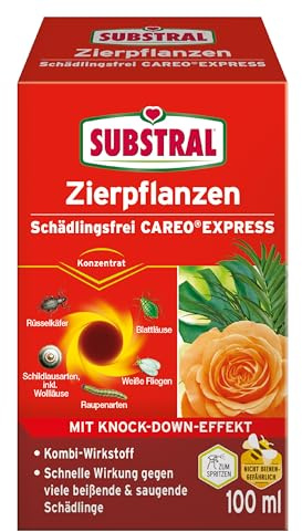 Substral Careo Express 100ml schnelle Wirkung Schädlinge | Gegen Blattläuse Spinnmilben und Weiße Fliegen | Sofortige Ernte möglich | Nicht bienengefährlich