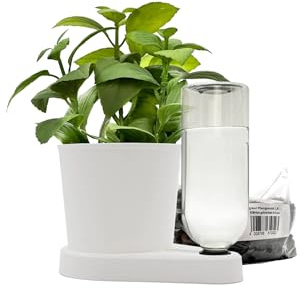 greevi Kräuterheld & 1l Pflanzgranulat | Selbstbewässernder Pflanztopf für Küchenkräuter | Made in Germany | Kunststoff (Standard/PET-Flasche, weiß)